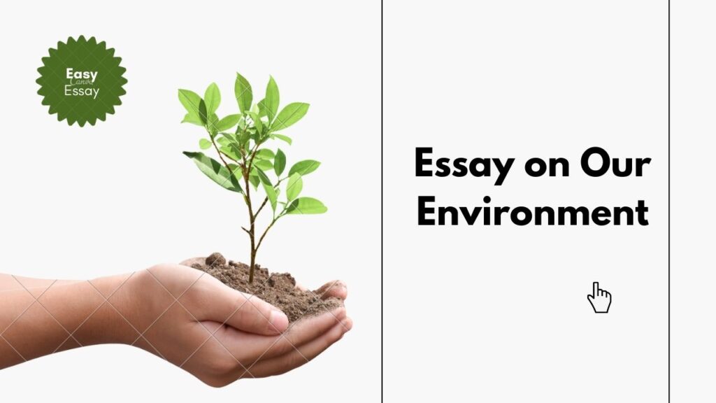 Essay on Our Environment in English for Students